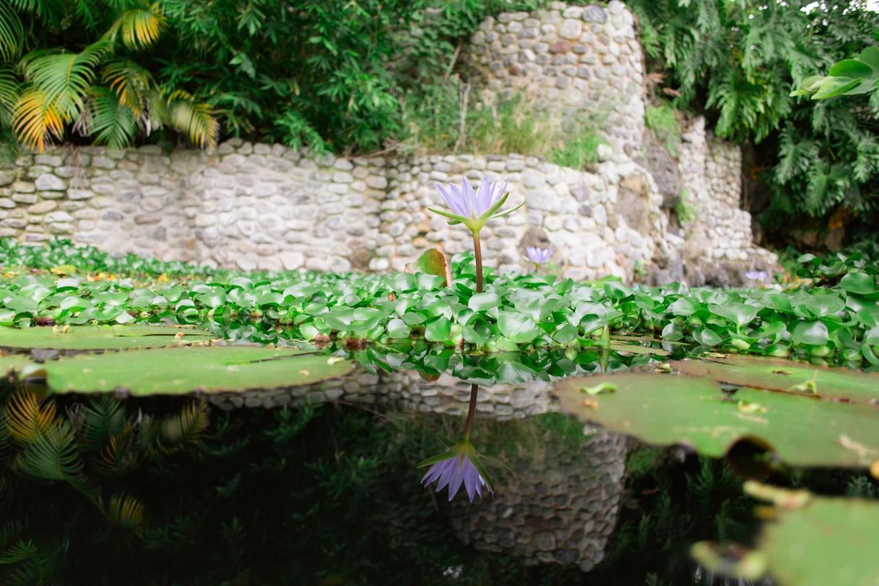 Jardin De La Abundancia - Holistic Resort For Events, Weddings & Retreats Tepoztlán Exterior photo